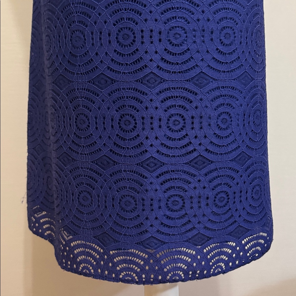 Lilly Pulitzer Achelle Blue Beaded Swing Dress - Picture 10 of 10